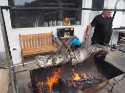 Bohlis_60_er-P6070002