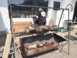 Bohlis_60_er-P6070010