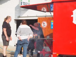 Bohlis_60_er-P6070046