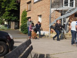 Bohlis_60_er-P6070051