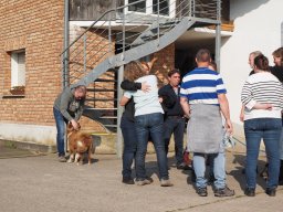 Bohlis_60_er-P6070052