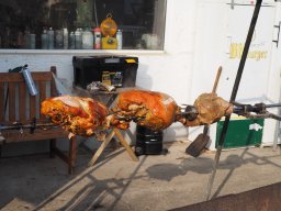 Bohlis_60_er-P6070057