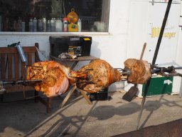 Bohlis_60_er-P6070058