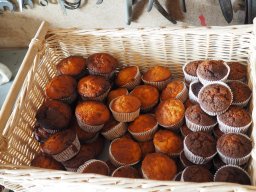 Bohlis_60_er-P6070080