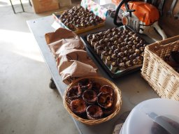 Bohlis_60_er-P6070081