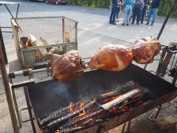 Bohlis_60_er-P6070082