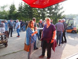 Bohlis_60_er-P6070097