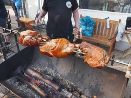 Bohlis_60_er-P6070099