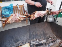 Bohlis_60_er-P6070125