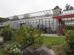 20250816_Andernach_P8160007