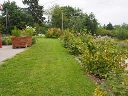 20250816_Andernach_P8160010