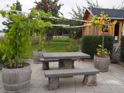 20250816_Andernach_P8160012