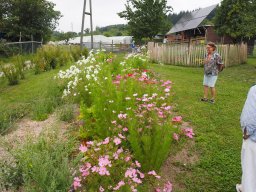 20250816_Andernach_P8160013