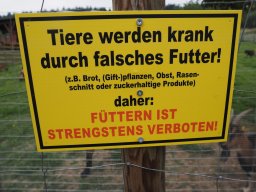 20250816_Andernach_P8160016