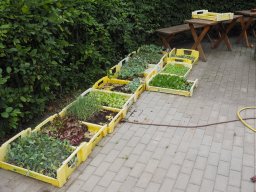 20250816_Andernach_P8160024