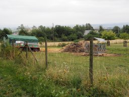 20250816_Andernach_P8160026