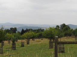 20250816_Andernach_P8160029