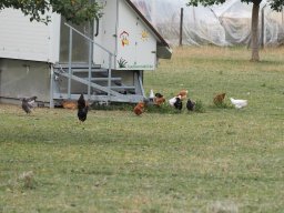 20250816_Andernach_P8160041