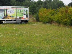 20250816_Andernach_P8160043