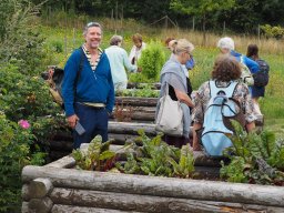 20250816_Andernach_P8160063