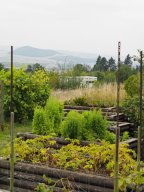 20250816_Andernach_P8160064