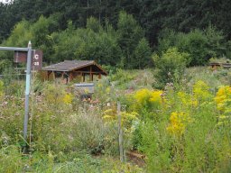 20250816_Andernach_P8160066