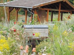 20250816_Andernach_P8160067