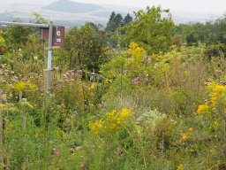 20250816_Andernach_P8160068