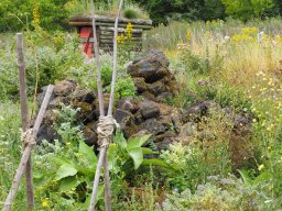 20250816_Andernach_P8160073