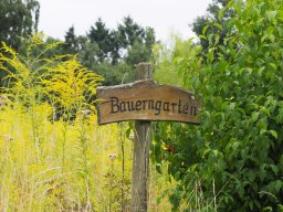 20250816_Andernach_P8160074