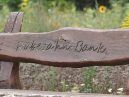 20250816_Andernach_P8160081