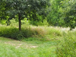 20250816_Andernach_P8160086