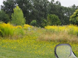 20250816_Andernach_P8160088