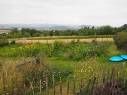 20250816_Andernach_P8160096