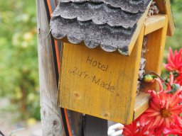 20250816_Andernach_P8160097