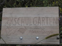 20250816_Andernach_P8160098