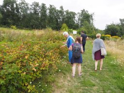 20250816_Andernach_P8160101