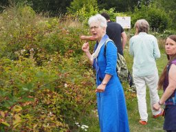 20250816_Andernach_P8160102