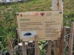 20250816_Andernach_P8160109