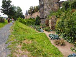 20250816_Andernach_P8160111