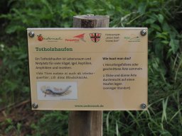 20250816_Andernach_P8160115