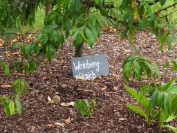 20250816_Andernach_P8160122