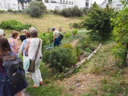 20250816_Andernach_P8160124