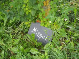 20250816_Andernach_P8160126