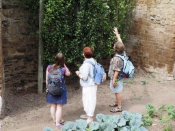 20250816_Andernach_P8160130