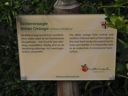 20250816_Andernach_P8160134