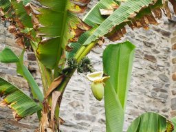 20250816_Andernach_P8160145