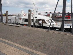 Arnold_2024-P5300471