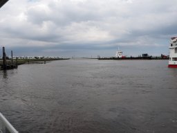 Arnold_2024-P5300477