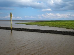 Arnold_2024-P5300483